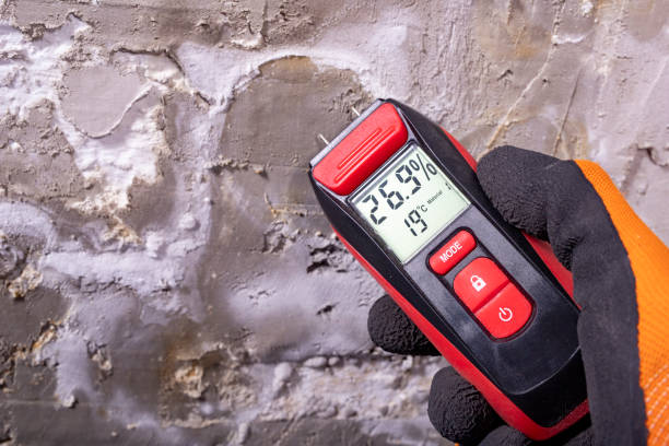 Best Health and Safety Mold Remediation in Kankakee, IL