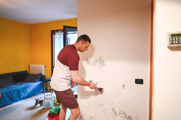 Best White Mold Remediation in Kankakee, IL